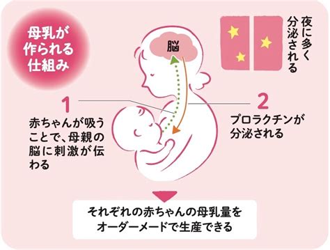 男の娘母乳|男性も母乳が出ることがある？その仕組みや理由を簡。